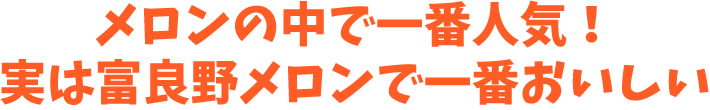 メロンの中で一番人気!実は富良野メロンで一番おいしい