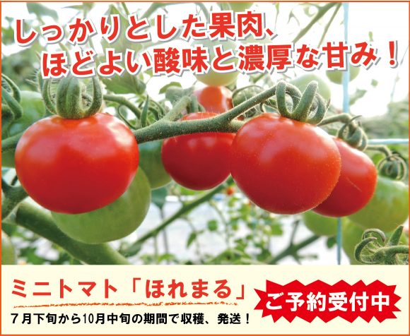 ミニトマトほれまるの購入ページ