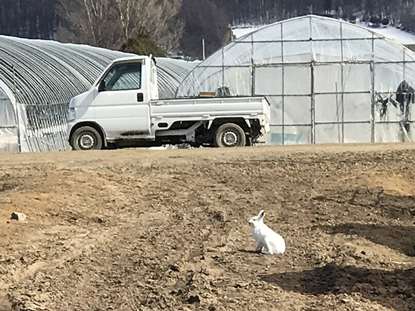 IMG_3956ccc