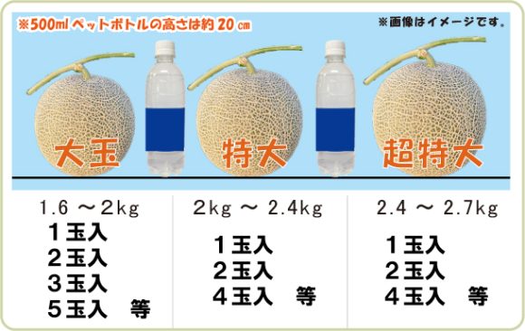 メロン高さ比較