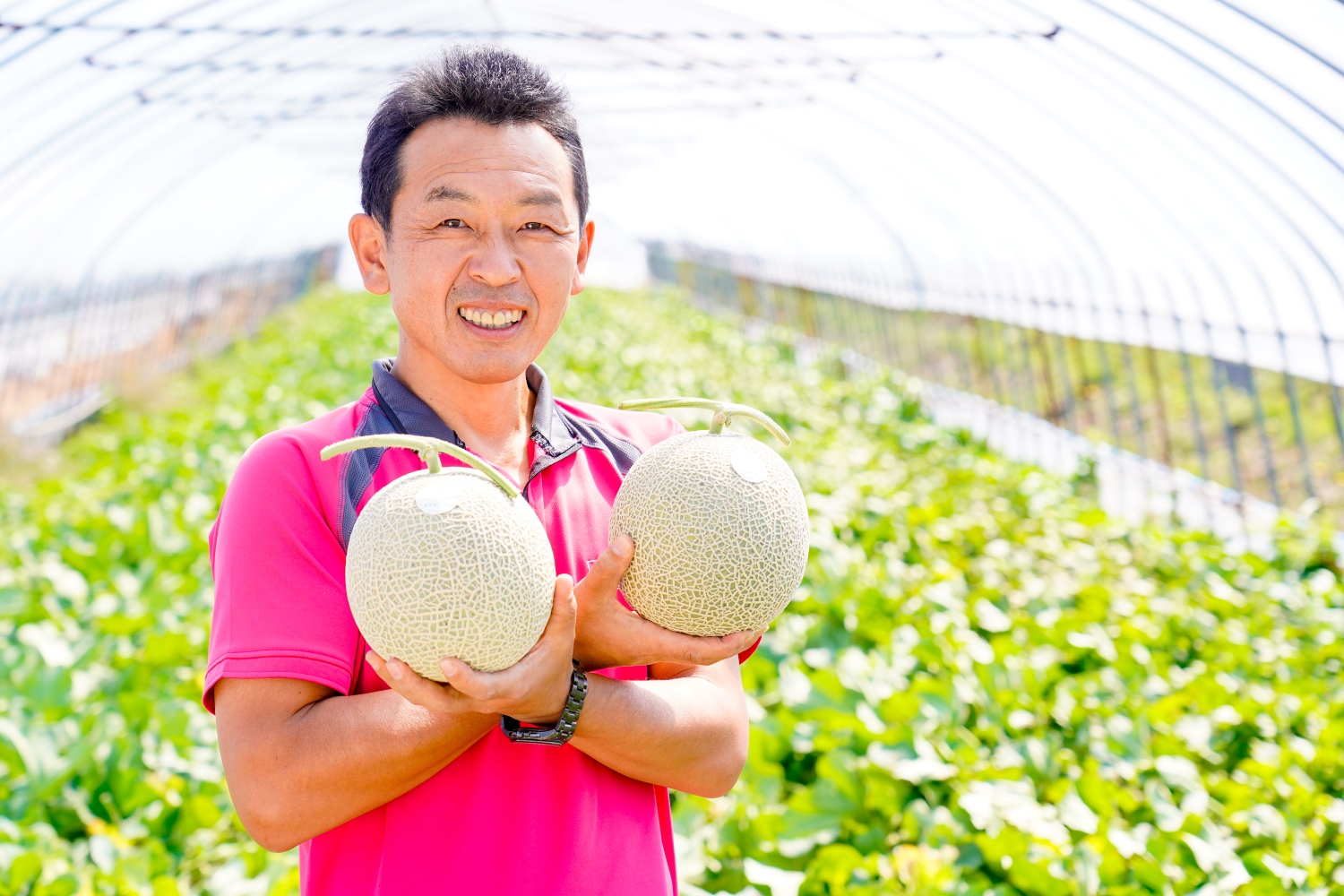 寺坂農園 野菜産直農家 | 北海道 富良野から通販で全国へお届け