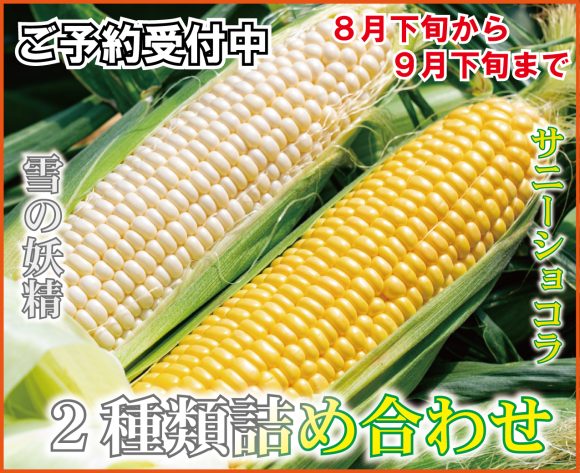 2種類詰め合わせTOP