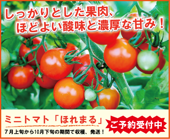 ミニトマトほれまるの購入ページ