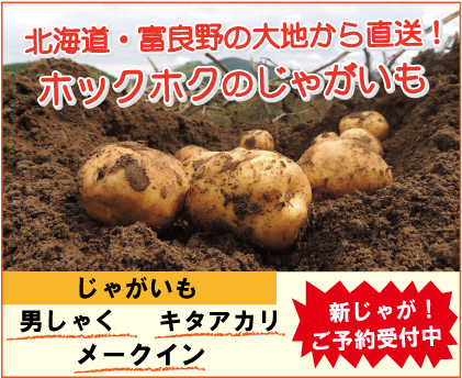 じゃがいも案内