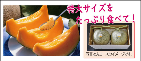 7月コースのイメージ画像