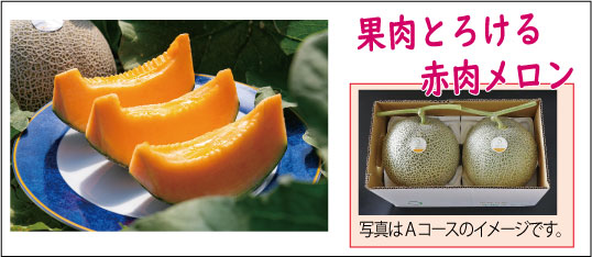 6月コースのイメージ画像