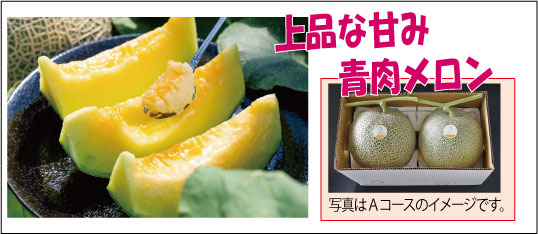 8月コースのイメージ画像