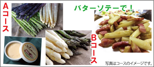 5月コースのイメージ画像