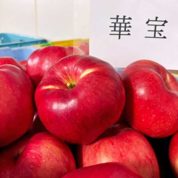 華宝