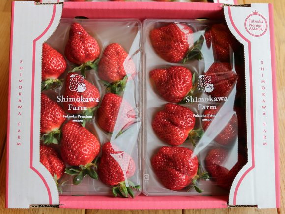 いちごパック_箱詰