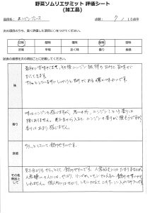７点評価